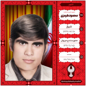 محمود هرمزی