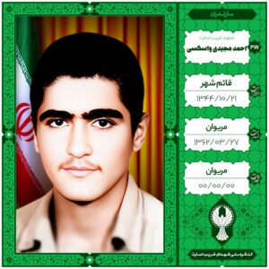 احمد مجیدی واسکسی