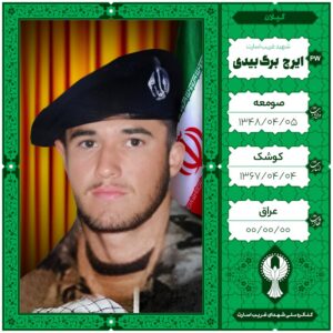ایرج برگ بیدی
