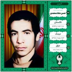 حسن ملک محمدی
