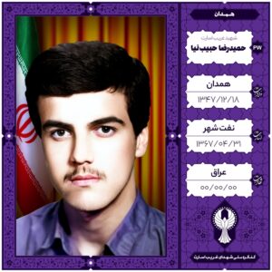 حمید رضا حبیب نیا