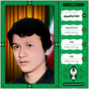 داود ابراهیم پور