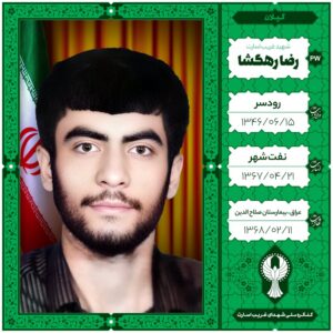 رضا رهگشا
