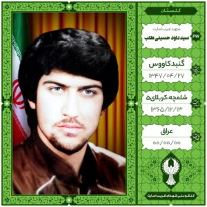 سید داود حسینی طلب