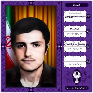 سید عبدالحسین رضوی