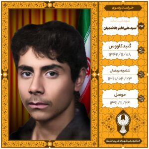 سید علی اکبر هاشمیان