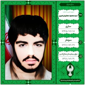 سید محمود جعفریان امیری