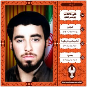 علی حامد نیا پورمحی آبادی