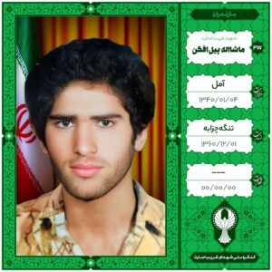 ماشااله پیل افکن
