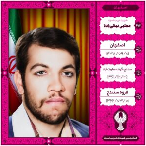 مجتبی بیگی زاده