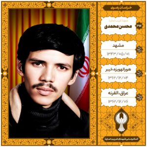 محسن محمدی