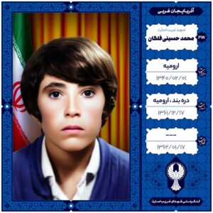 محمد حسینی فلکان