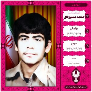 محمد مسیح گل