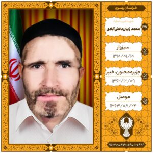 محمد ژيان بالش آبادی
