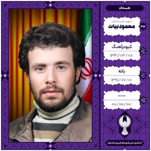 محمود بیات