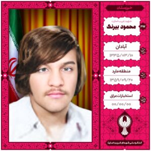 محمود بیرنگ