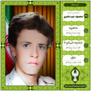 محمود عرب عامری
