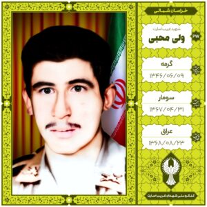 ولی محبی