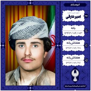 امیر عارفی