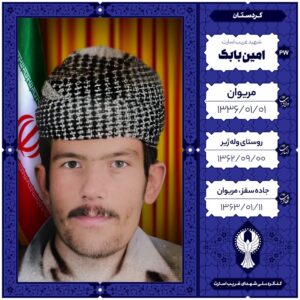 امین بابک