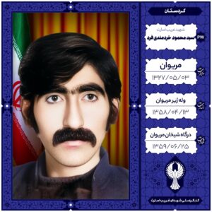 سیدمحمودخردمندی فرد