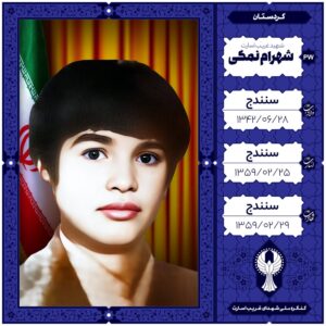 شهرام نمکی
