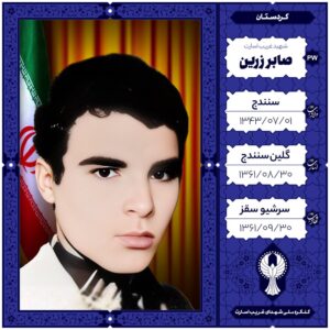 صابر زرین