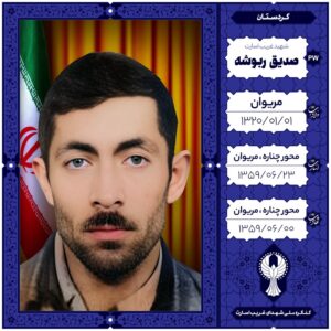 صدیق ربوشه