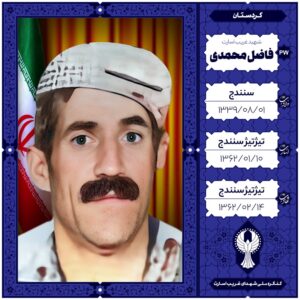 فاضل محمدی