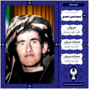 محمد امین احمدی