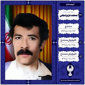 محمد عزیز نجفی