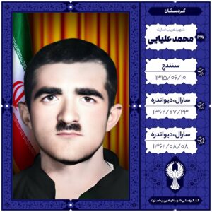 محمد علیایٔی