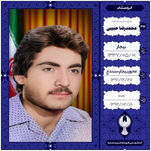 محمدرضا حبیبی