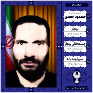 محمود احمدی