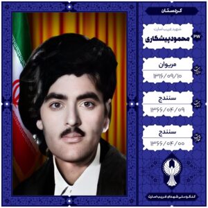 محمود پیشکار