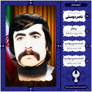 ناصر دوستی