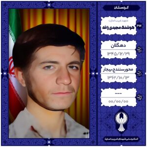 هوشنگ مجیدی زاغه