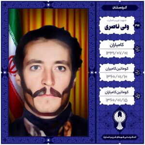 ولی ناصری